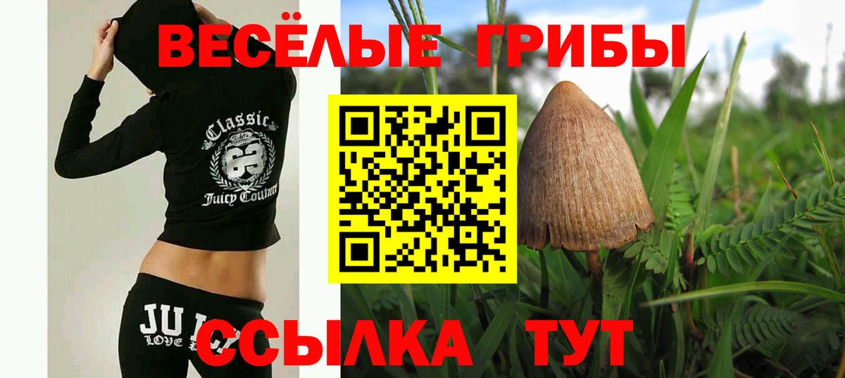 Галлюциногенные грибы мицелий Кувандык