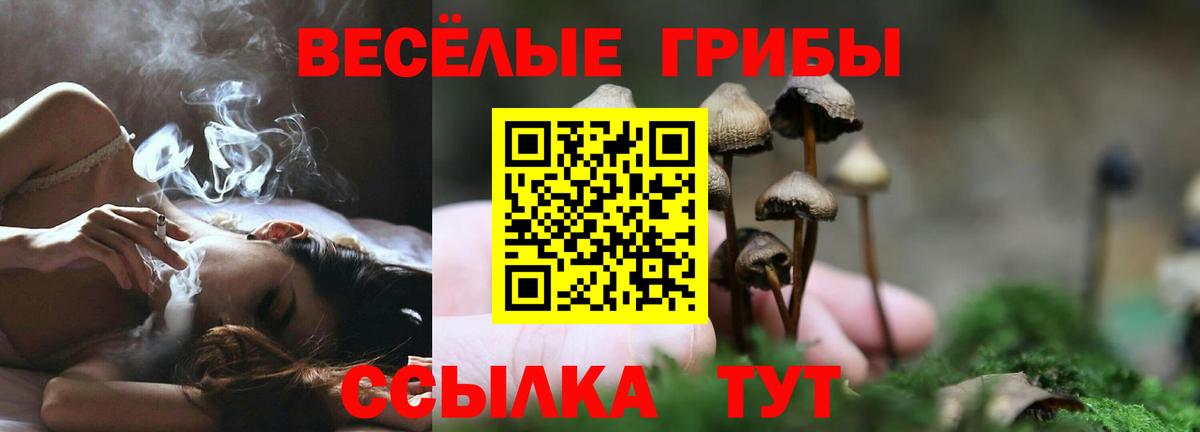 Кувандык  Галлюциногенные грибы Magic Shrooms  Вход с VPN 