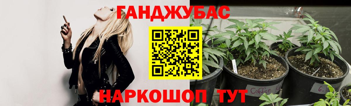 Каннабис White Widow  Марихуана план  Кувандык  Шишки марихуана планчик  Вход с VPN 